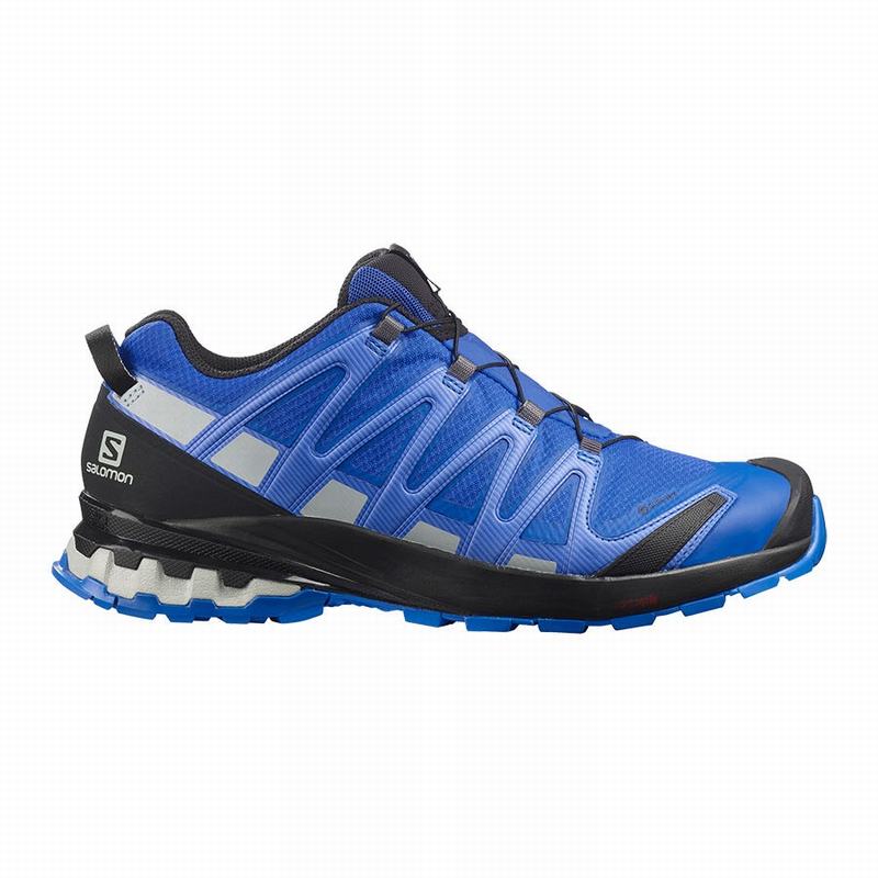 Salomon Singapore Mens Hiking Shoes - XA PRO 3D V8 GORE-TEX Black/Blue | 92538-LBEA